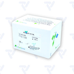 Aspartato Aminotransferasa Ast/Got) 4X62 Elitech Group