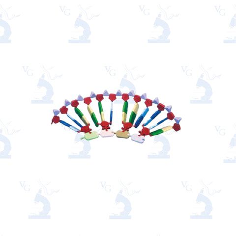 Modelo mini ARN Ácido Ribonucleico. Modelo M-20 Civeq