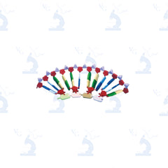 Modelo mini ARN Ácido Ribonucleico. Modelo M-20 Civeq