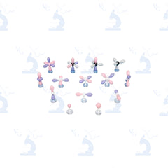 Modelo Orbital Atómico. Modelo M-22 Civeq