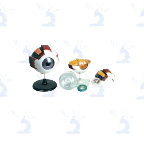 Modelo Ojo de Doble Utilidad Civeq